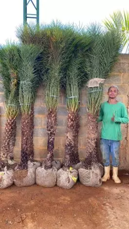 Imagem Segundaria do Produto