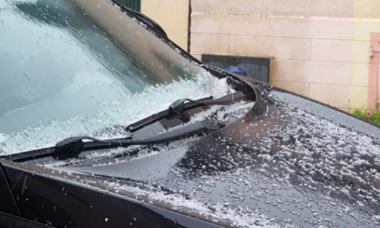 CHUVA DE GRANIZO - SEGURO PAGA? CHUVA DE GRANIZO - SEGURO PAGA?