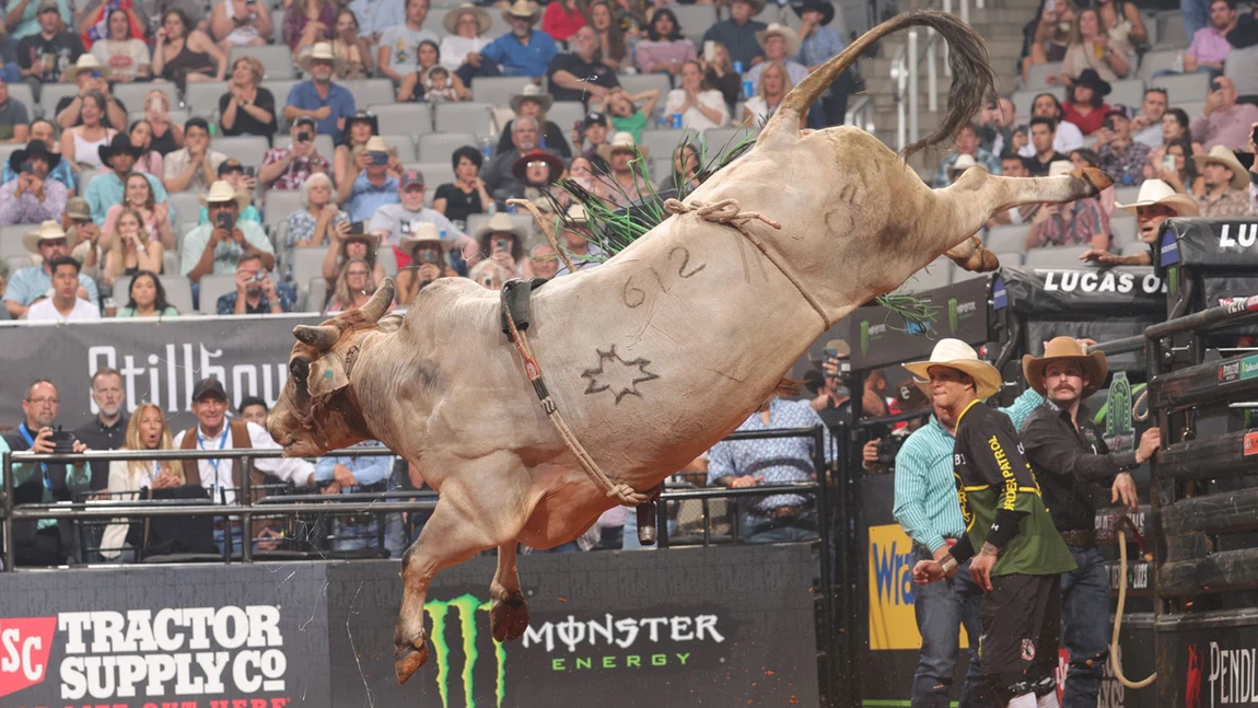 Final Mundial: touros dominam 4º round; nenhum cowboy do Top 10 pontuou