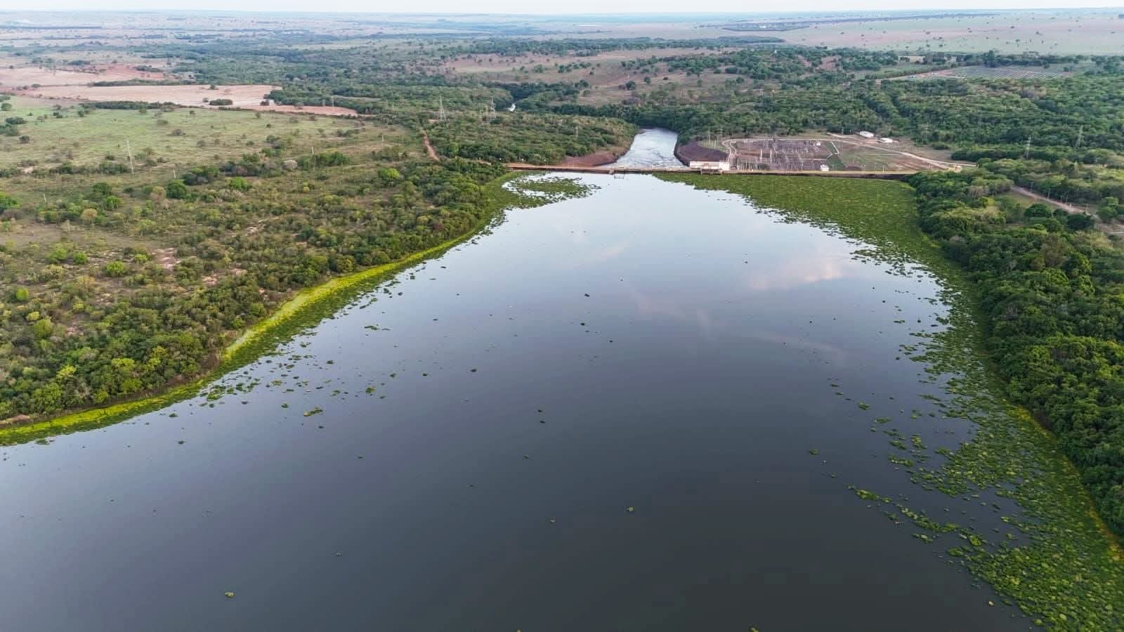 Usina libera água no Rio Pardo para dispersar tapete de plantas
