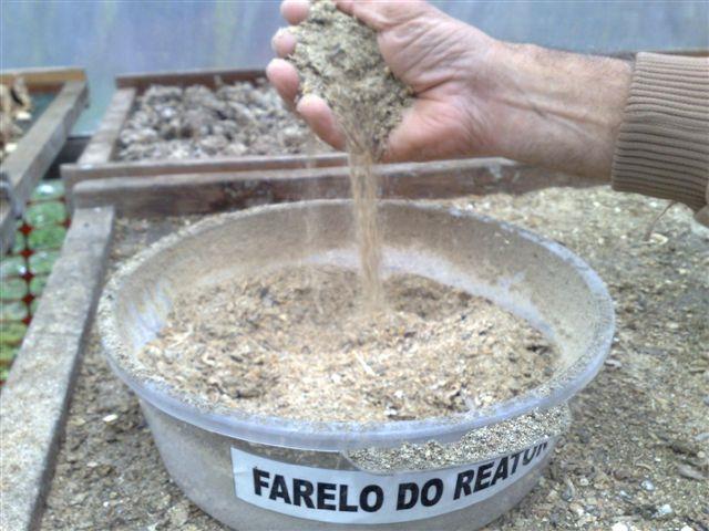Agricultura Natural
