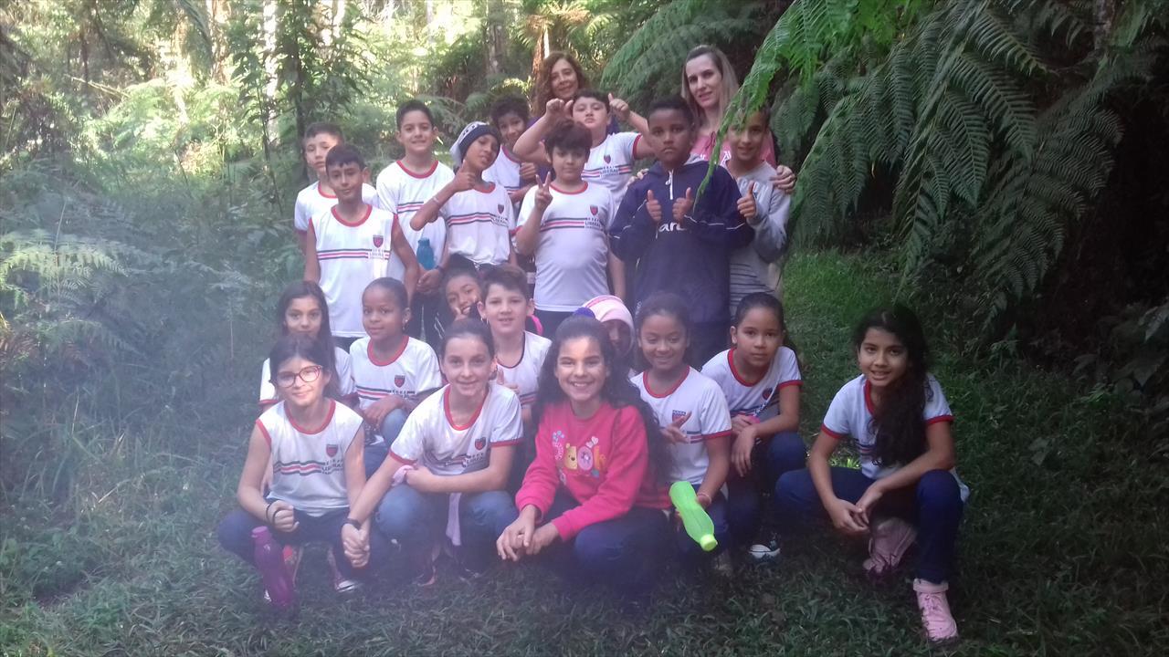Visitação