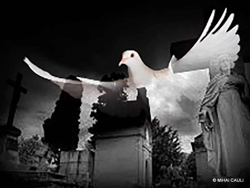 A paz dos cemitérios