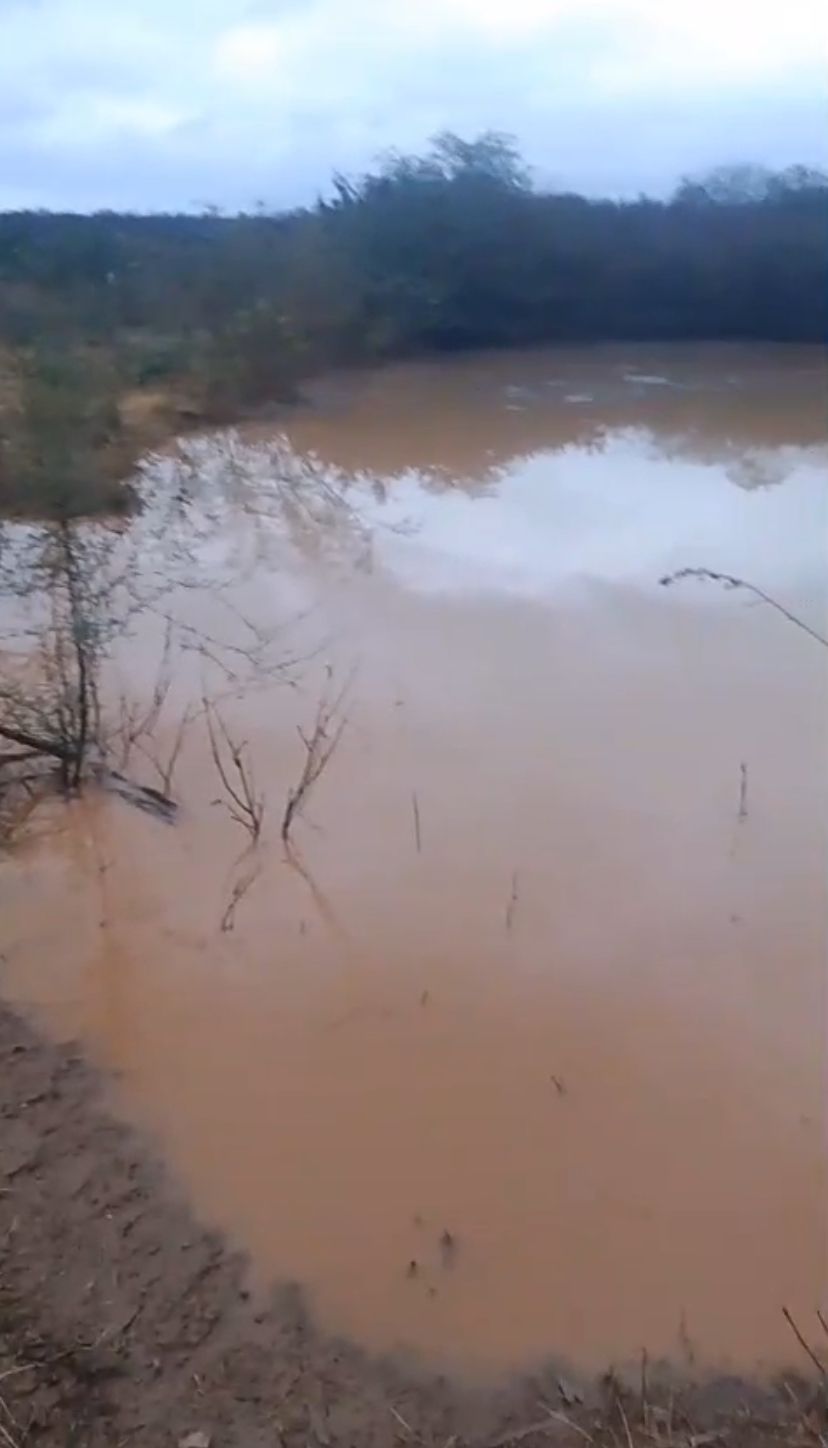 Região do Araripe registra pancadas de chuva e traz de volta a esperança dos sertanejos