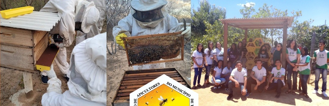 IF Sertão PE vai realizar Dia de Campo em Abelhas na Associação dos Apicultores do Município de Trindade