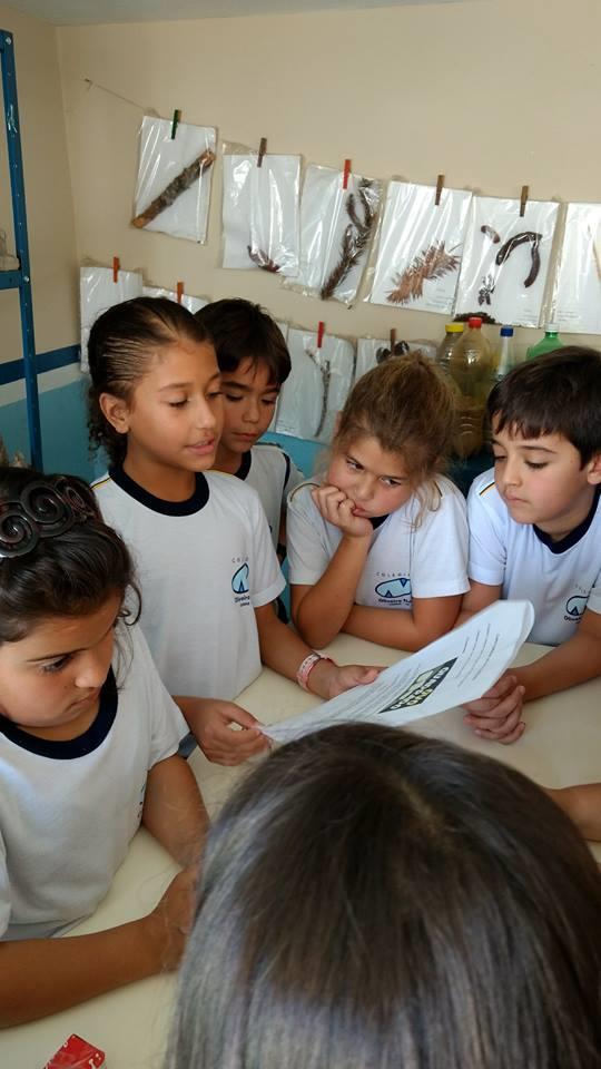 Ed. Fundamental II (11 a 15 anos)