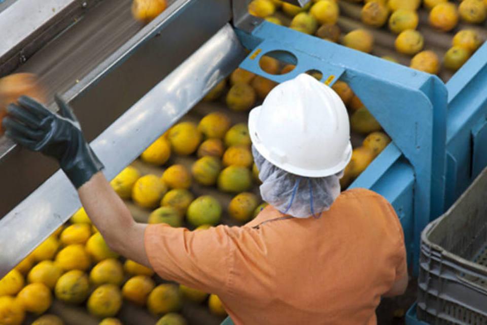 Exportações de suco de laranja NFC crescem na Espanha