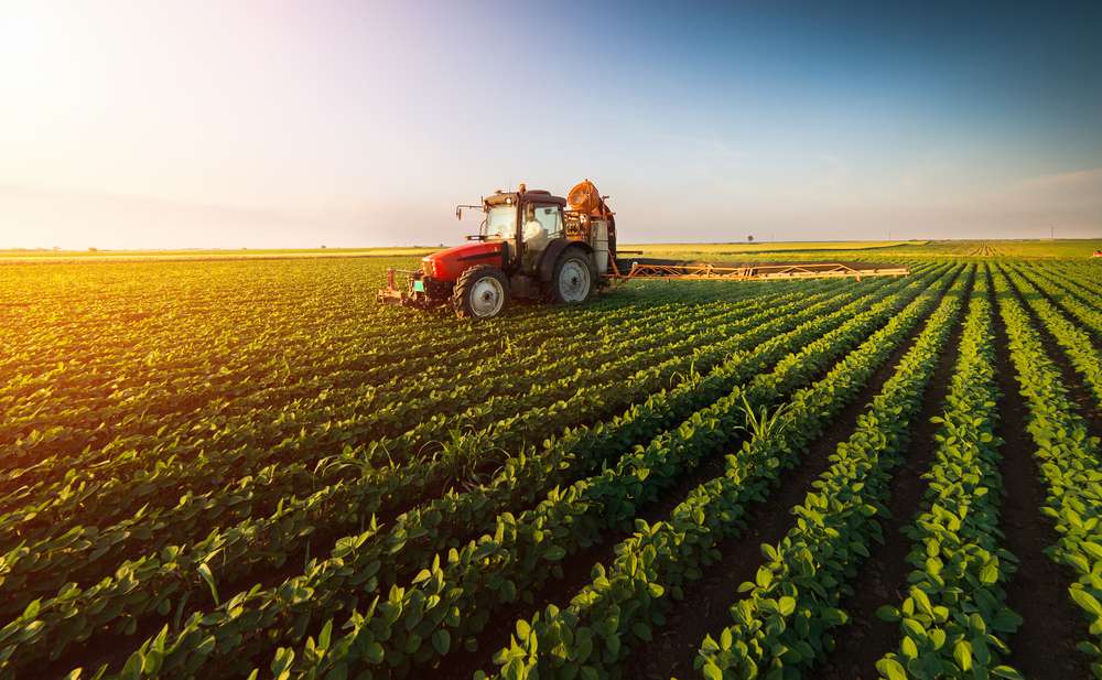 Brasil deve produzir 123,5 mi t de soja em 19/20, diz Agroconsult