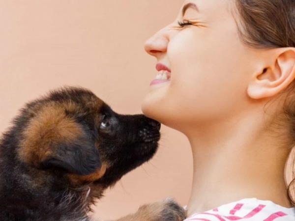Está se sentindo sozinho nessa época de isolamento social? Adotar um animal de estimação pode ser a solução