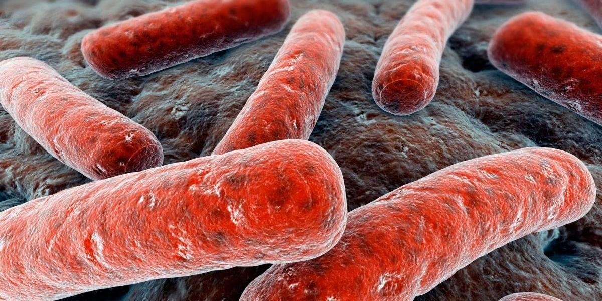 Vazamento de gás contaminado em laboratório da China infecta mais de 3 mil pessoas