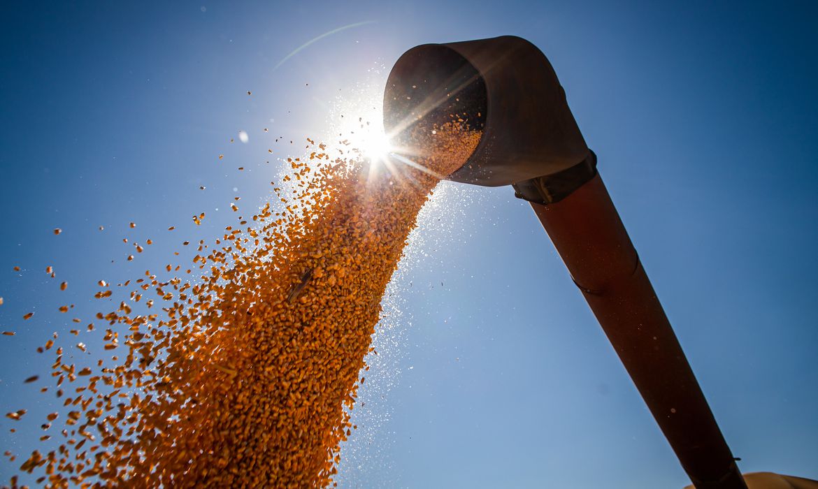 Brasil deve ter safra recorde de arroz, milho e soja em 2022, diz IBGE