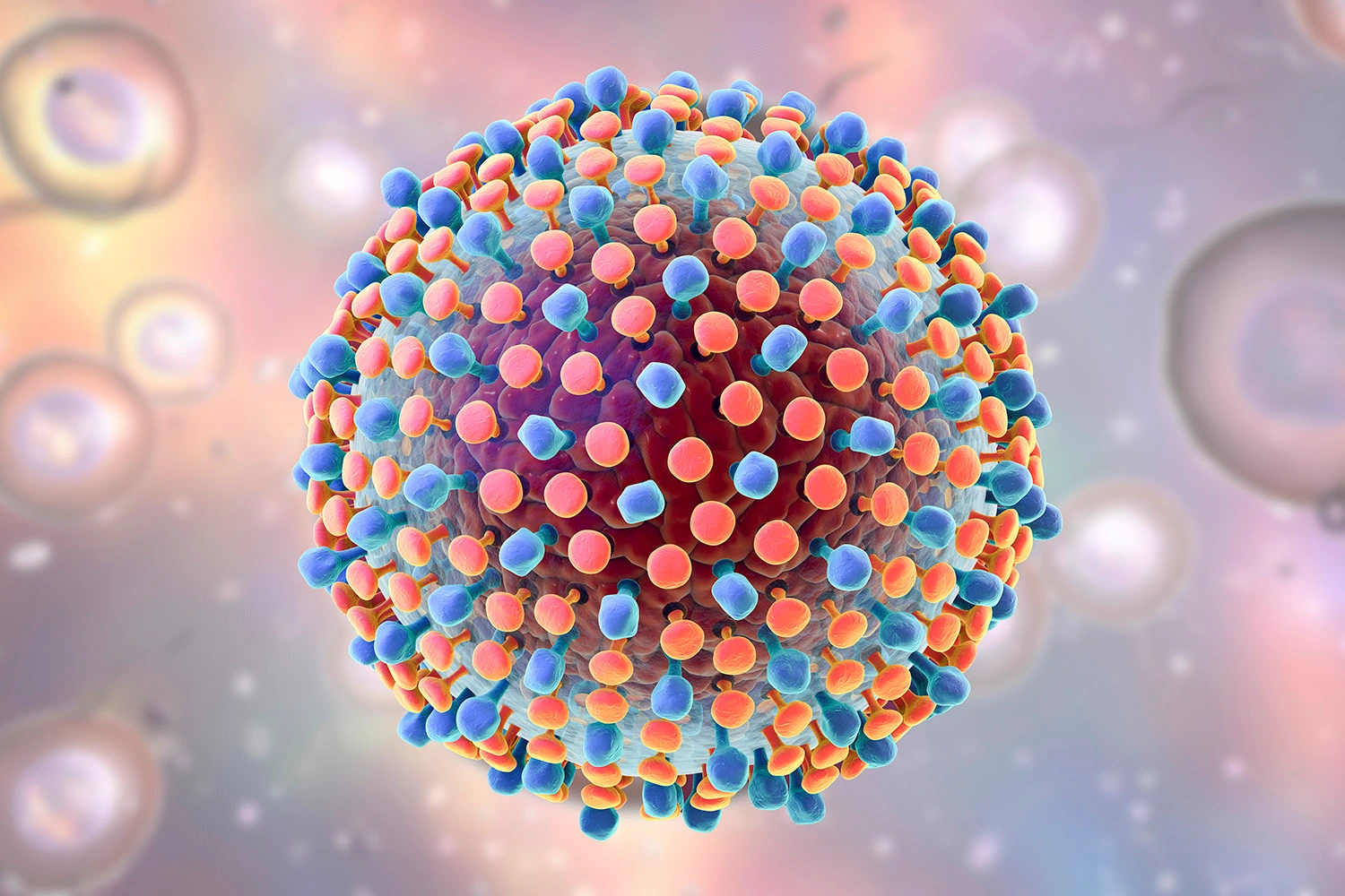 Cientistas detalham como ocorre a replicação do vírus da hepatite A