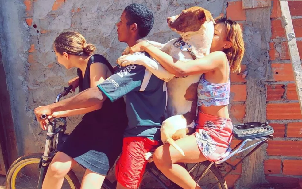 VÍDEO: Rapaz viraliza após ser filmado levando duas irmãs e um pitbull em bicicleta, em Goiás