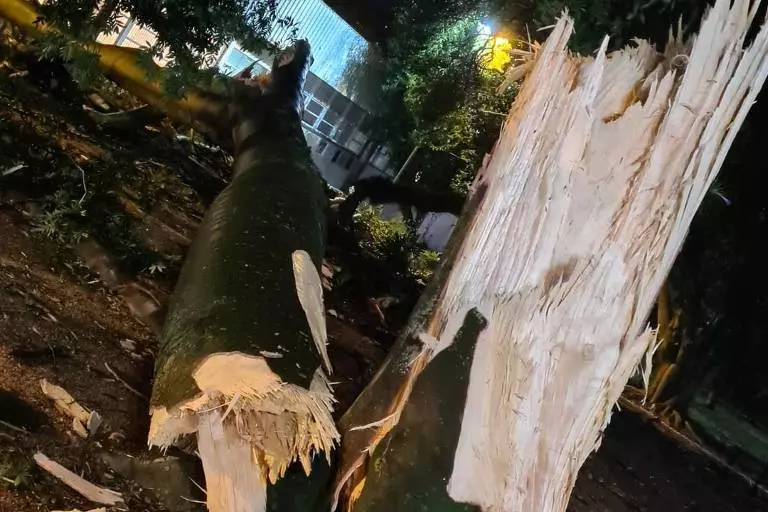 Cidades gaúchas sofrem com destruição provocada por vendaval de até 120 km/h