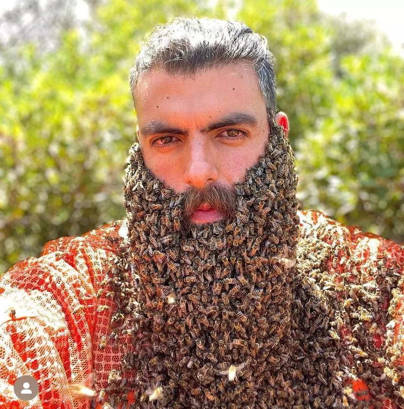 Apicultor libanês viraliza nas redes sociais com vídeos coberto por abelhas (VÍDEO)