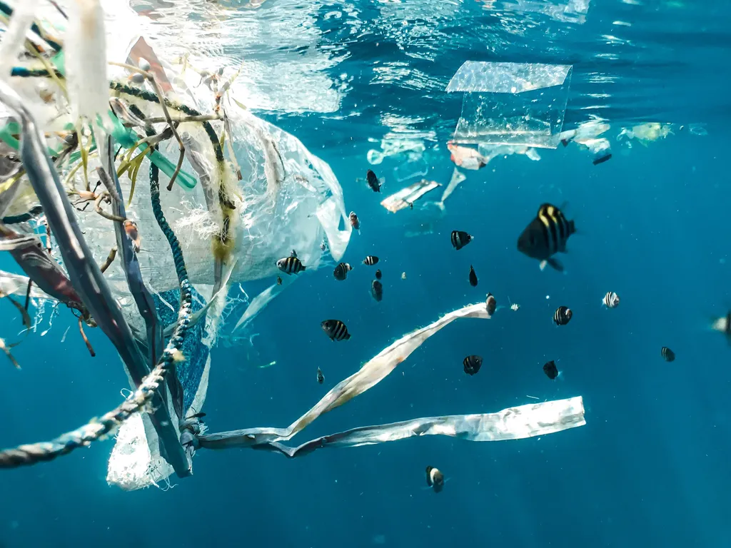Peixe-robô: nova aposta dos chineses para remover resíduos de plástico do oceano