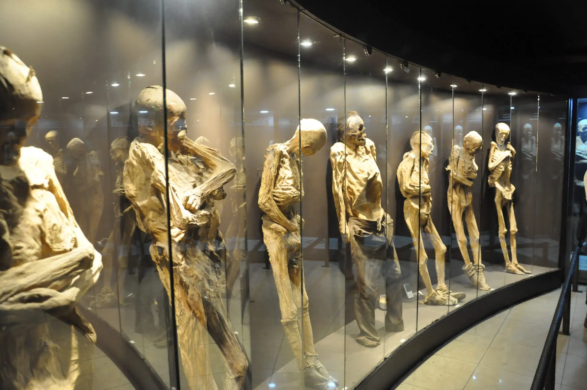 Museu das Múmias exibe corpos conservados naturalmente no solo