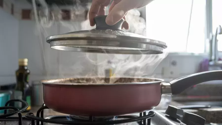 Famílias transformam fezes de animais em gás para cozinhar no Brasil