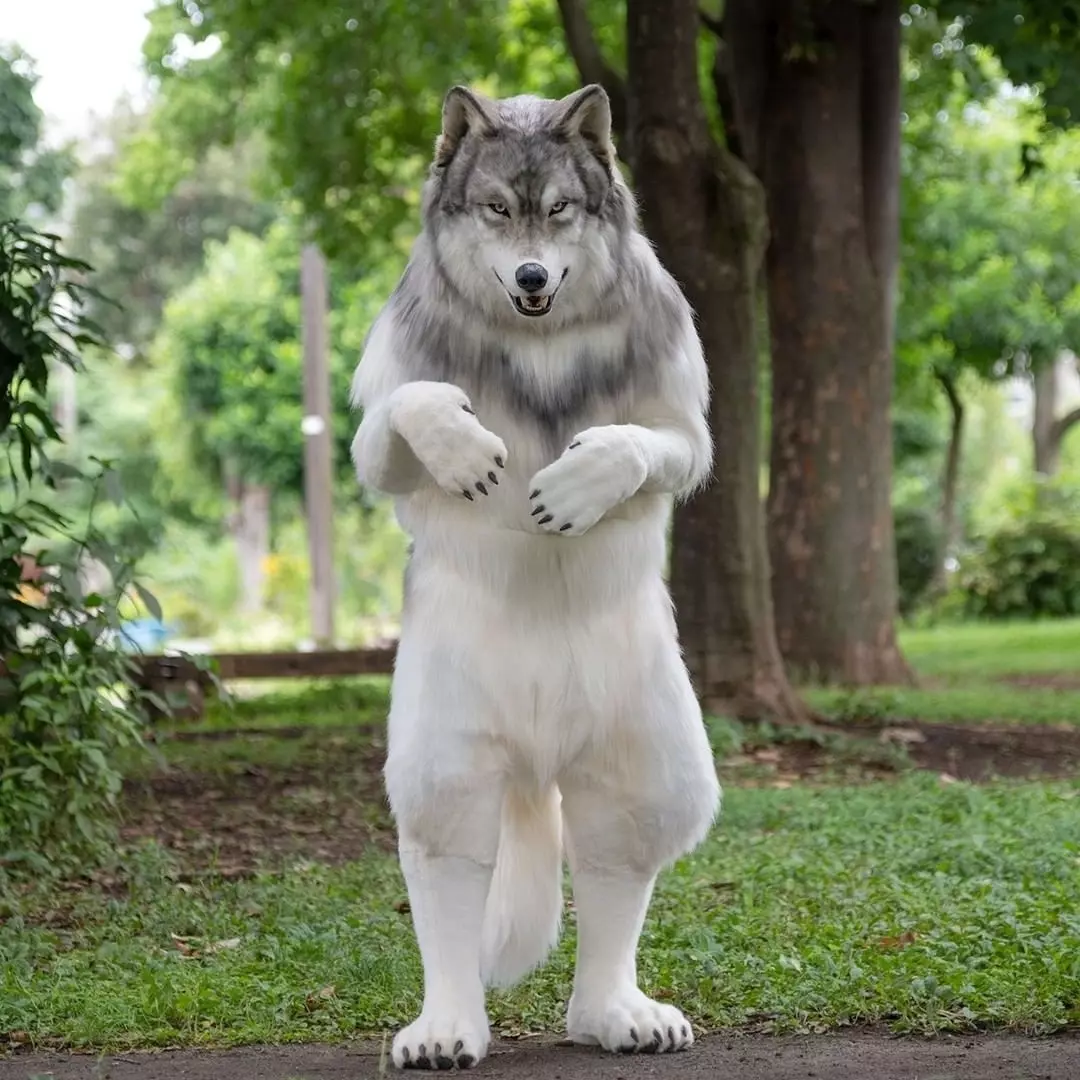 Homem gasta mais de R$ 120 mil para ficar parecido com um lobo