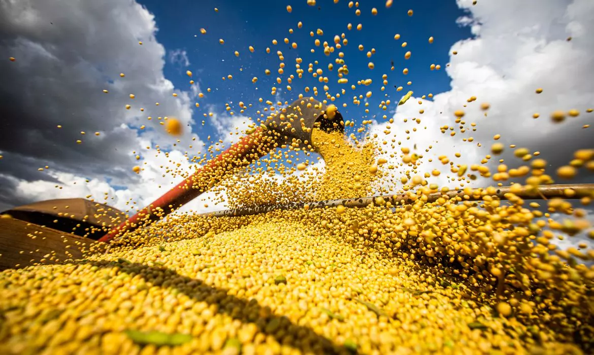 Valor da soja brasileira bate recorde em 2022
