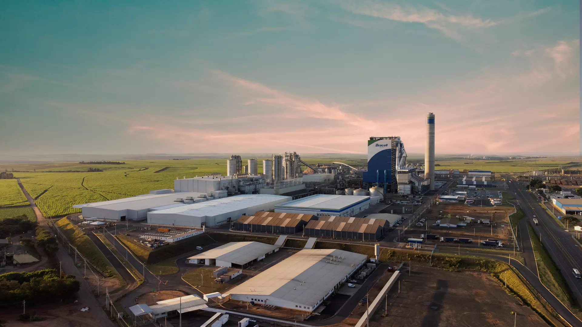 Bracell se une à Plataforma Net Zero a favor de ações climáticas que contribuem para reduzir emissões de gases de efeito estufa (GEE)