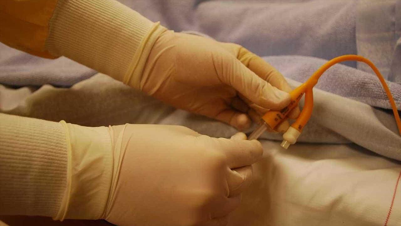 Instituto de Saúde Global de Harvard alerta sobre danos bilionários nos próximos anos devido a Pandemias