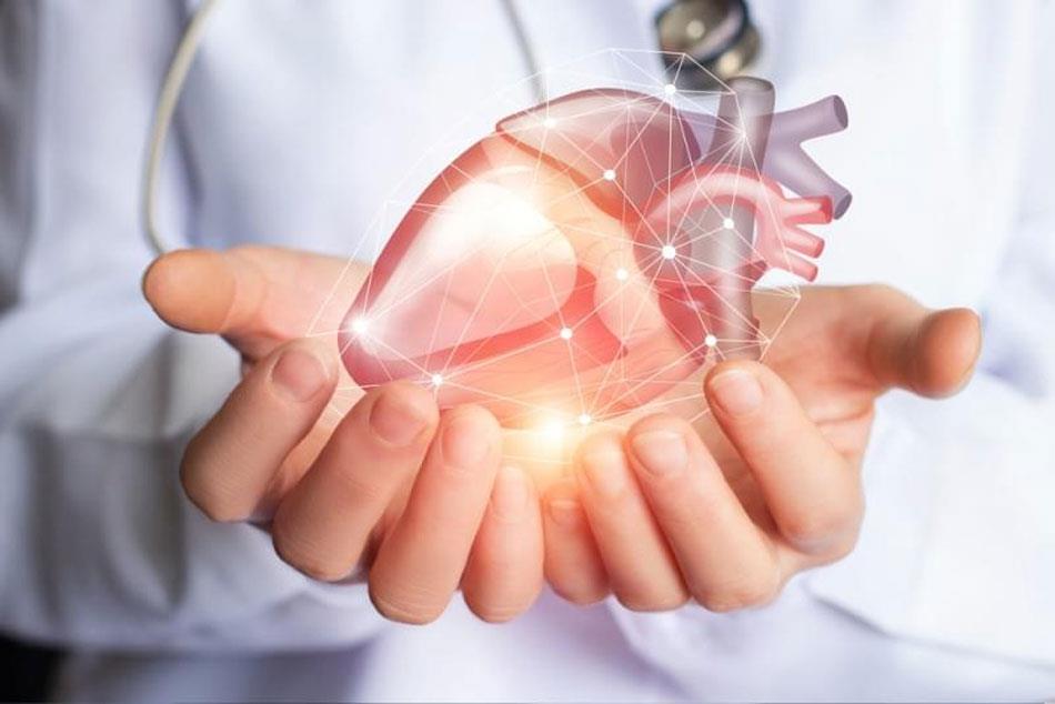 Cientistas israelenses apresentam coração impresso em 3D a partir de tecidos humanos