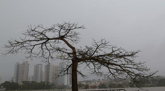 Mato Grosso do Sul terá terça-feira parcialmente nublada
