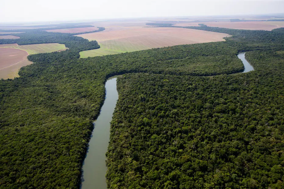 Desmatamento é principal preocupação ambiental do brasileiro