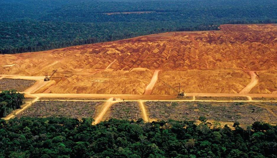 Governo federal quer reduzir 60 florestas e reservas