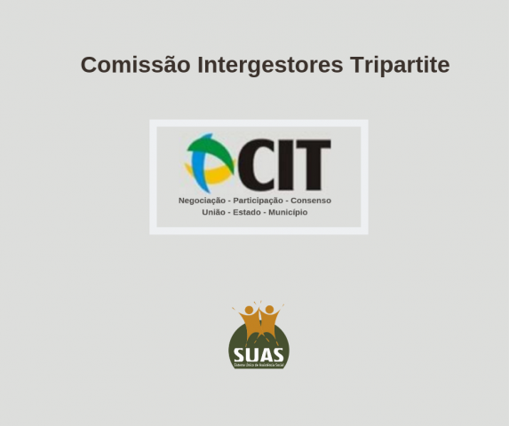 169ª Reunião Ordinária da Comissão Intergestores Tripartite - CIT