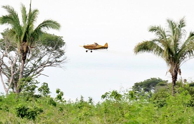 Avião joga agrotóxico próximo a cidade de Santa Terezinha e deixa a população preocupada