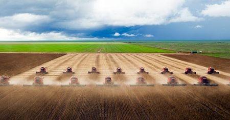Querência, no Araguaia, aparece entre as 10 cidades que mais exportam em MT