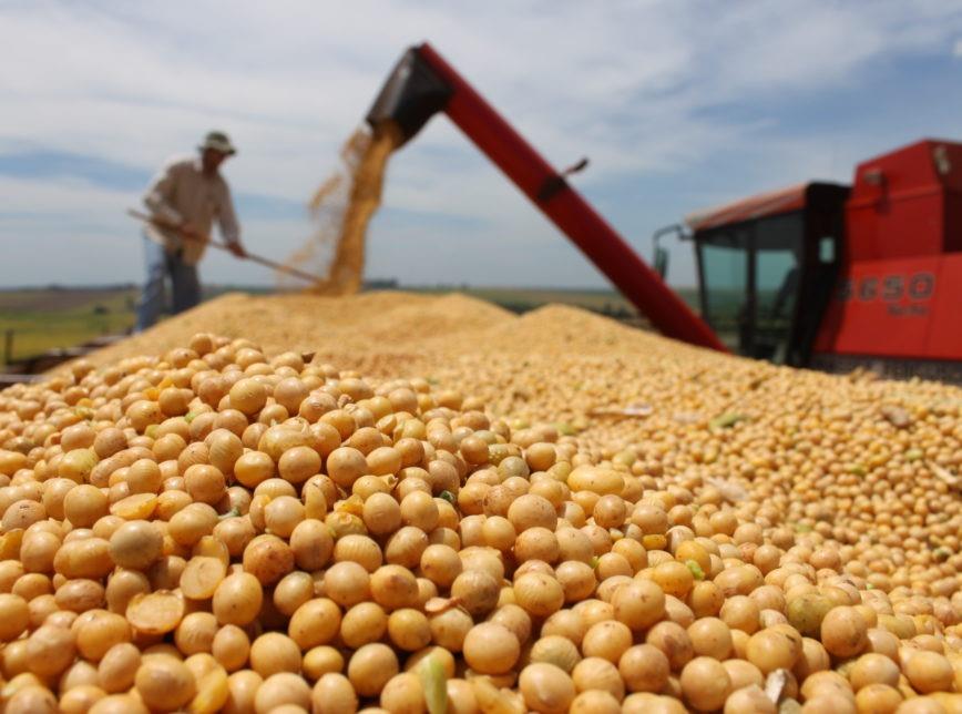Querência e Canarana estão entre os 15 maiores produtores de soja do Brasil