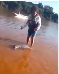 Vídeo mostra botos encalhados no rio Araguaia sendo salvos por turistas