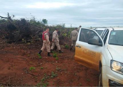 Operação combate crimes ambientais em Querência