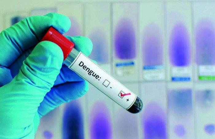Querência tem número preocupante de casos de Dengue e Chikungunya