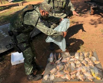 Batalhão Ambiental resgatou 371 animais e apreendeu 3,5 toneladas de pescado