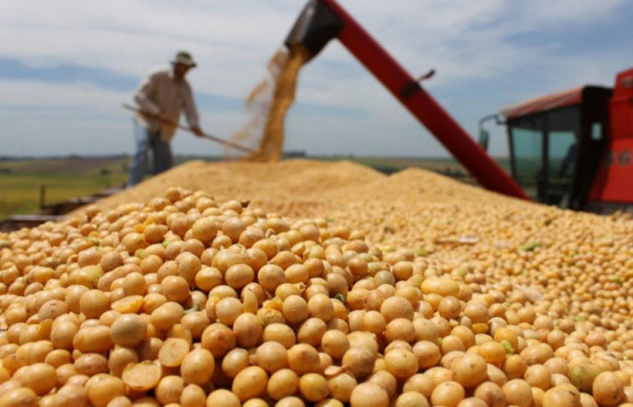 Área plantada com grãos cresce 22% e aumenta demanda por qualificação em São Félix do Araguaia