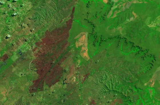 Fogo em Chapada destruiu mais de 19 mil hectares de Cerrado