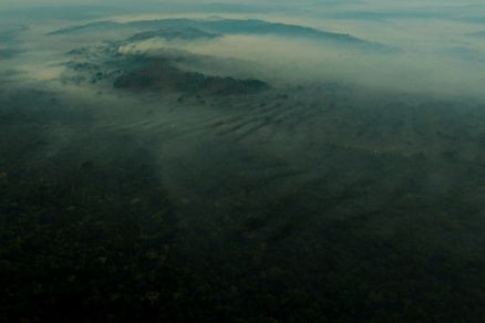 Em 1 mês, mais de 5 mil hectares de parque em MT são destruídos