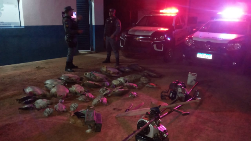 PM resgata mais de 40 tartarugas presas em sacos e apreende utensílios de pesca ilegal em São Félix do Araguaia