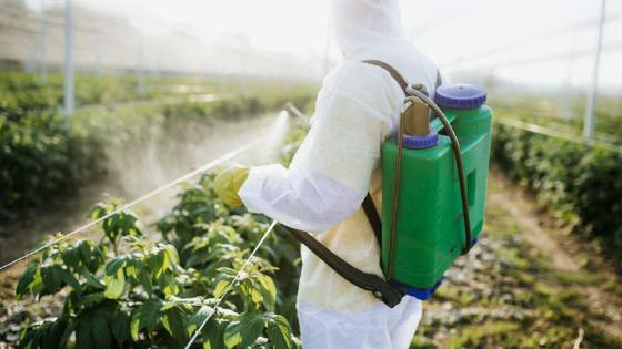 Condições de trabalho no agronegócio são indutoras de suicídio, diz pesquisa