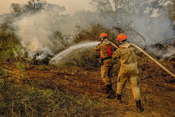 Casos de covid-19 foram maiores em áreas de incêndios na Amazônia e no Pantanal