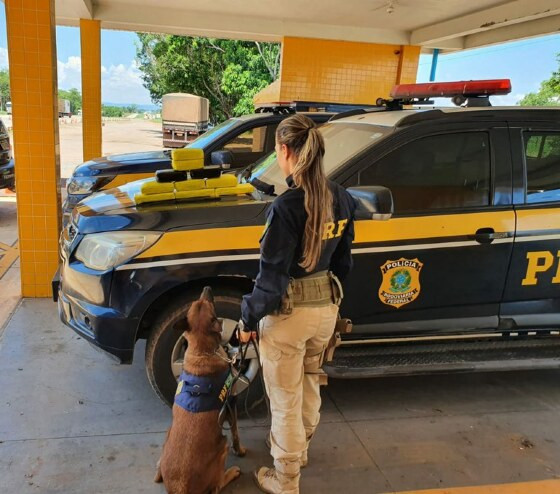 Bombeiros são presos com tamanduá-mirim e 24 quilos de cocaína