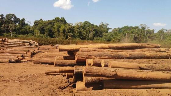 Empresário alvo do Gaeco ambiental é multado em R$ 1,6 milhão