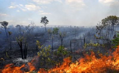 Pesquisa aponta que Ribeirão Cascalheira é a cidade que mais desmatou na região Araguaia