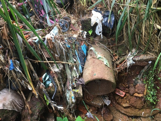 Cidade de Chapada dos Guimarães possui 17 nascentes sob risco