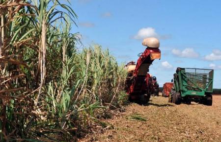 MT fecha 4.589 empregos formais em março; agropecuária é o setor que mais demitiu