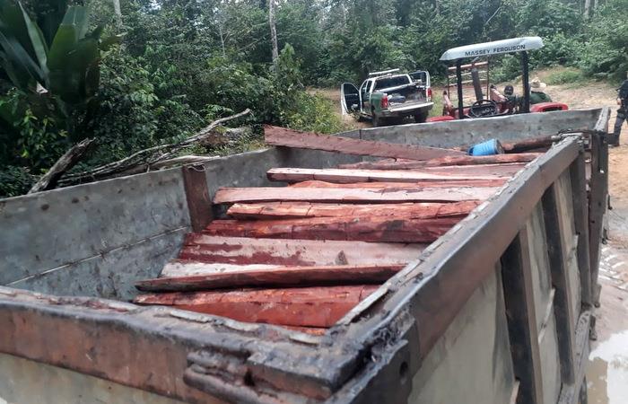 Ibama flagra extração ilegal de madeira em terra indígena e polícia prende 12 pessoas em Confresa